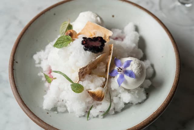 gin-soaked berries, vanilla-yogurt ice cream, torched merengue, and tonic snow gin-soaked berries, vanilla-yogurt ice cream, torched merengue, and tonic snow